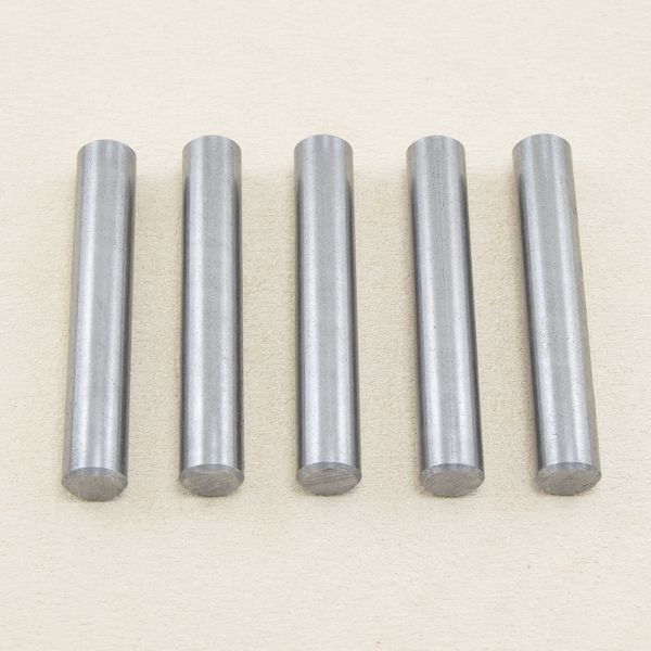TH Stahlstifte 10 mm für Körnereinsatz, 5 St.
