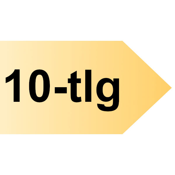 FAMAG Super-Kunstbohrer HM Premium 10-tlg.