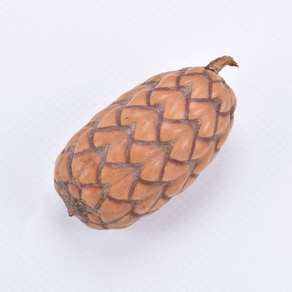 Uxi Nuss ca. 5 cm, 1 Stück